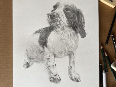 graphite study by Tony O'Connor