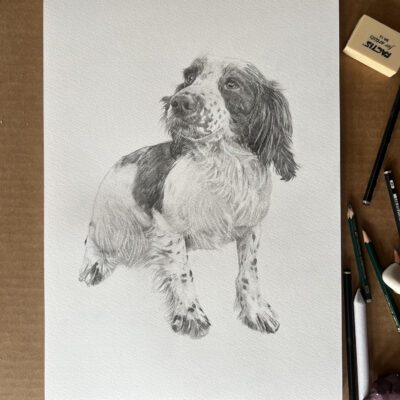 graphite study by Tony O'Connor