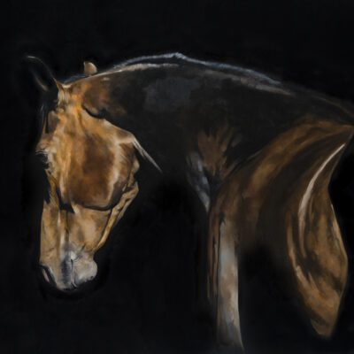 Artwork by Tony O'Connor