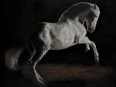 Artwork by Tony O'Connor