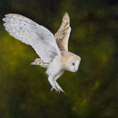 Artwork by Tony O'Connor