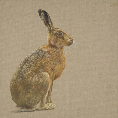 Artwork by Tony O'Connor