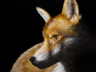 Artwork by Tony O'Connor