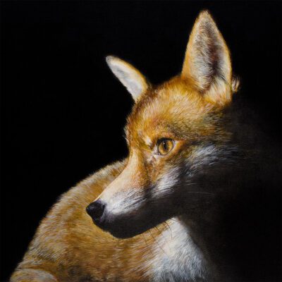 Artwork by Tony O'Connor