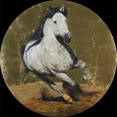 syr0 2021 02 02 005 black