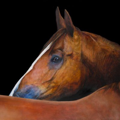 Artwork by Tony O'Connor