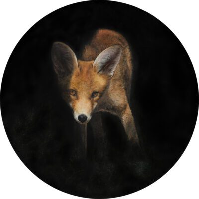 Artwork by Tony O'Connor