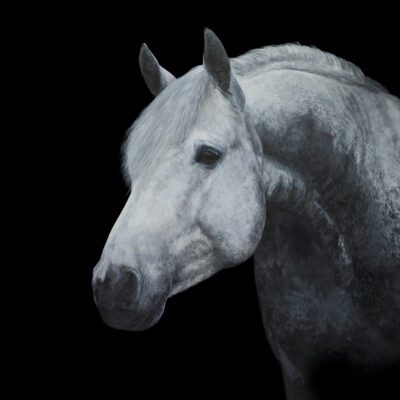 Artwork by Tony O'Connor