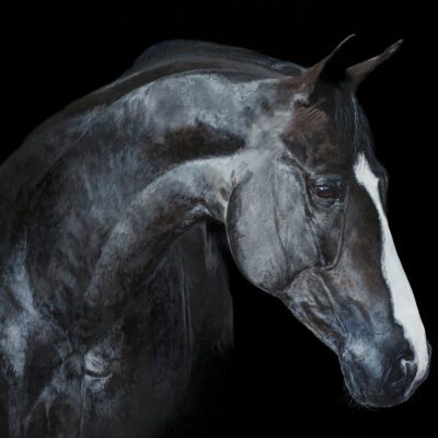 Artwork by Tony O'Connor