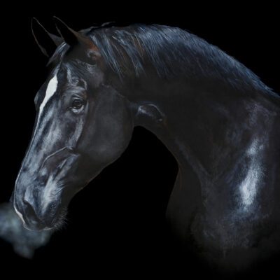 Artwork by Tony O'Connor