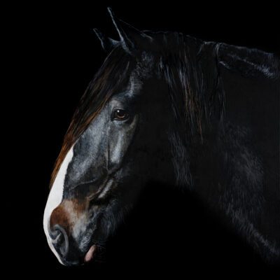 Artwork by Tony O'Connor