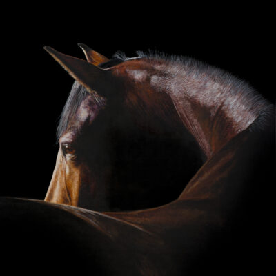 Artwork by Tony O'Connor