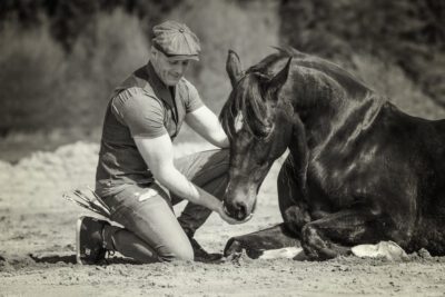 tony o connor trakehner monaco 152 sw