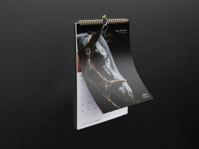 Calendar Mockup A3 2